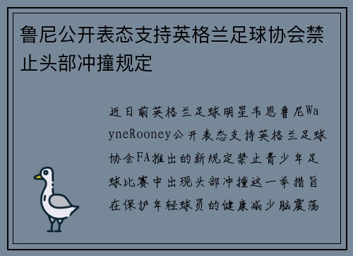 鲁尼公开表态支持英格兰足球协会禁止头部冲撞规定